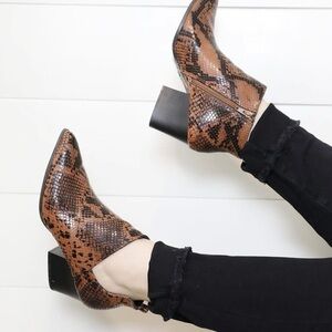 Qupid Snakeskin Ankle Boots - Brown/Black